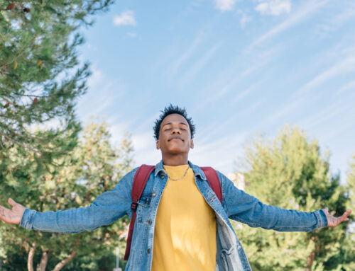 Breathing and beating: how to untangle the respiratory and cardiac effects of stress in daily life